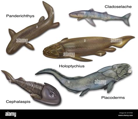 ancient fish|Lists of prehistoric fish .